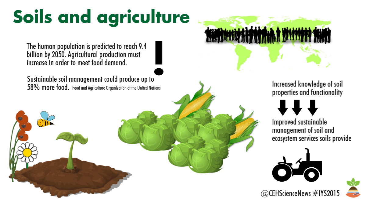 understanding-the-soil-better-importance-of-soil-testing-and